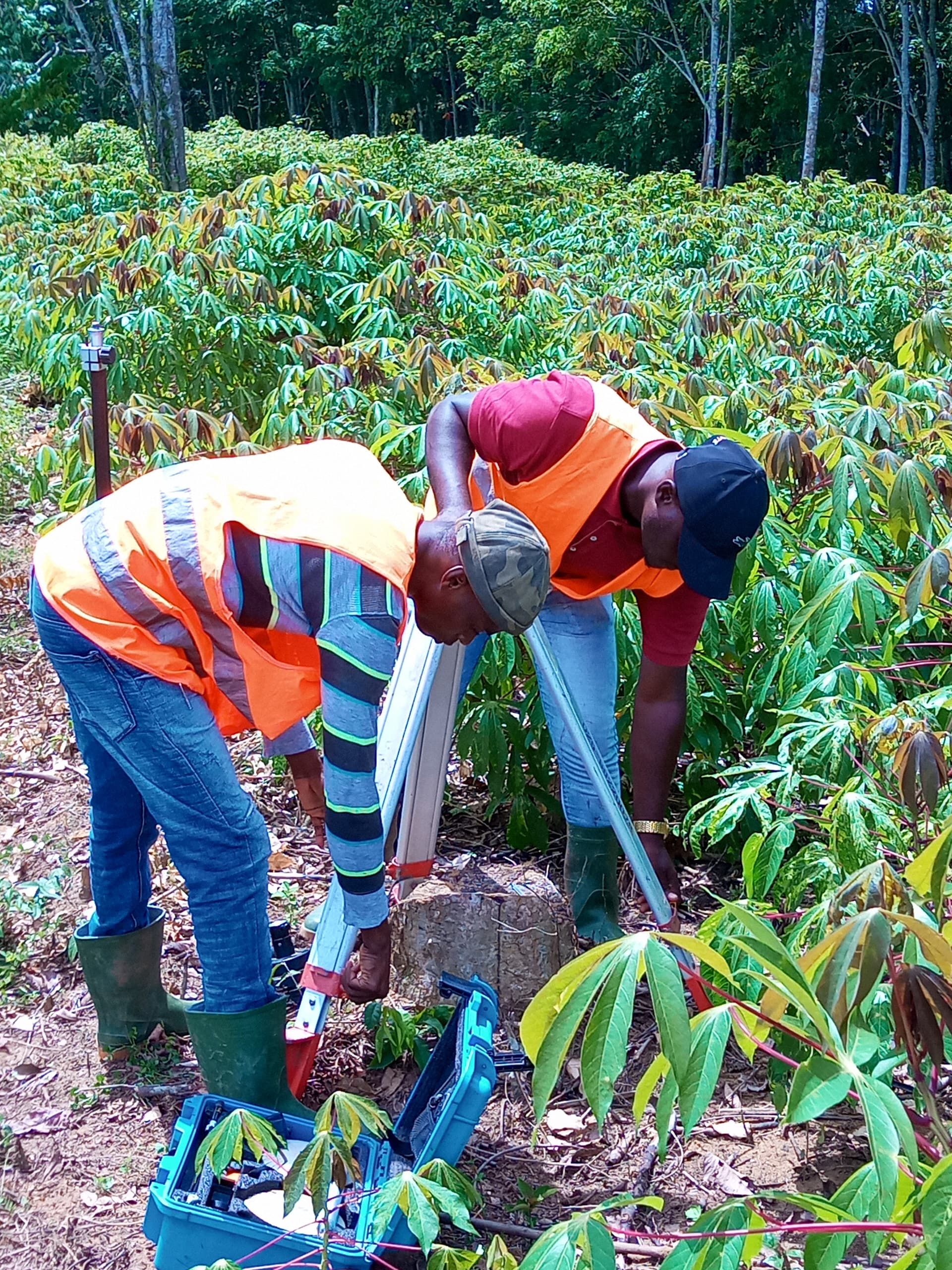 75d66fa4 699d 4390 b56b 6002b987b6cf